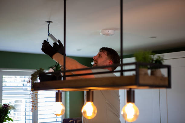 Best Electric Panel Repair  in Hamilton College, NY